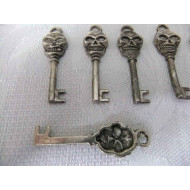 Skull Key Metal Keychain