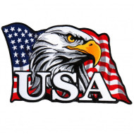 Hot Leathers Biker American Flag USA Eagle Head 4" Patch