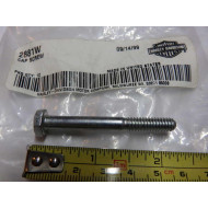 Harley-Davidson cap screw 1/4"-20 x 2" hex head 2881W