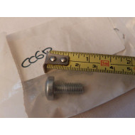 Harley-Davidson SCREW, PAN HEAD TORX - 3696