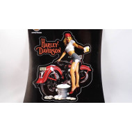 Harley-Davidson Motorcycle Washing Stick Onz Decal