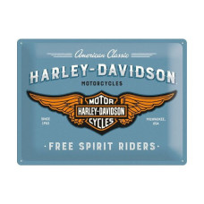 Plechová cedule Harley-Davidson Free Spirit Riders 40x30cm