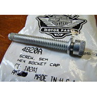 1pc Screw SCREW 1/4-20 X 2 SOCKET for Harley-Davidson Ignition Coil Mount OEM 4820A