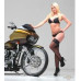 FRONT BRAKE ROTOR for Harley-Davidson by Revtech